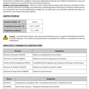 Compresseur à piston NUAIR - 5,5 CV - 270 L - 400 V – Image 3