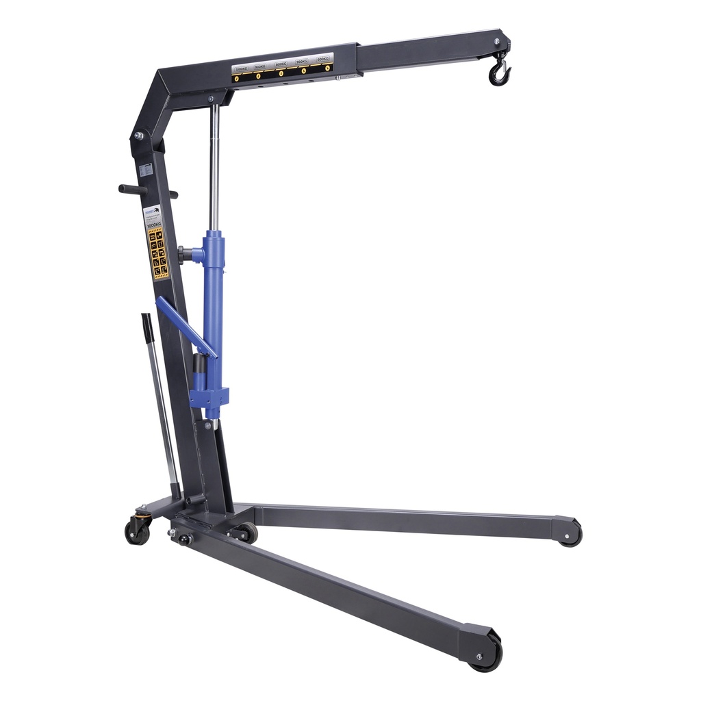 Grue d'atelier levage à grande vitesse 1 tonne