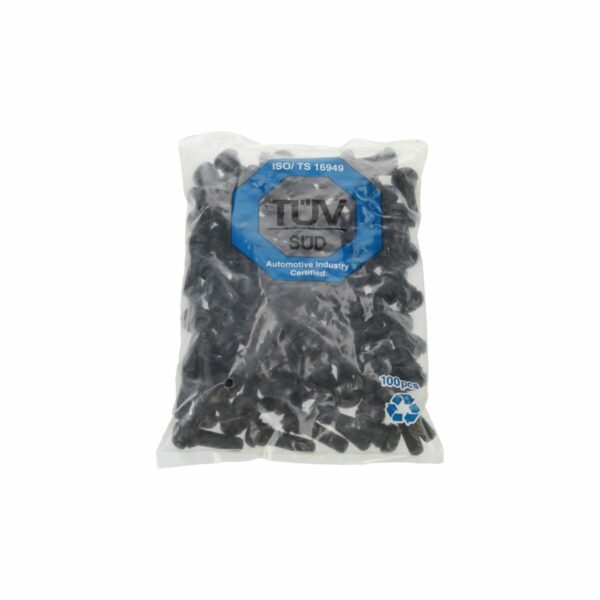 Valve TR 413 STANDARD - 100 pièces